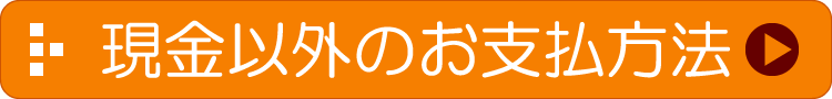 現金以外のお支払方法